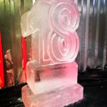 Party Vodka Luge 18